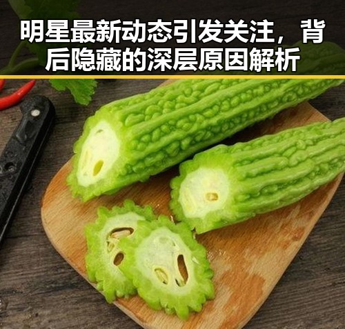 明星最新动态引发关注，背后隐藏的深层原因解析